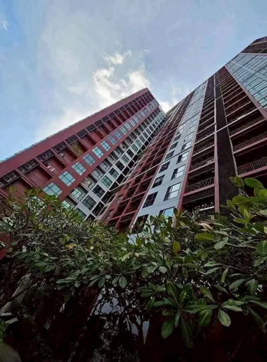ให้เช่า Wyne sukhumvit